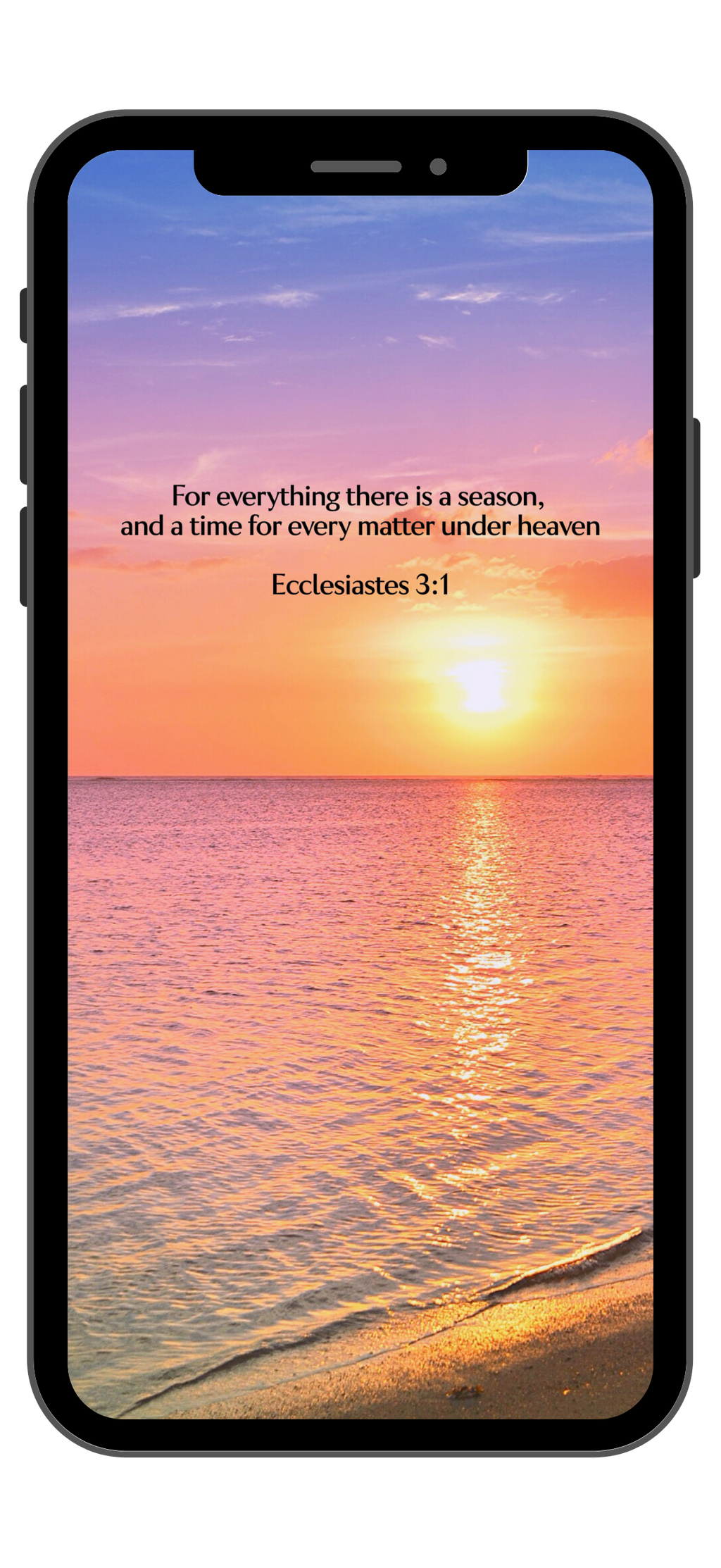 Ecclesiastes 3:1 - Beach - Phone Wallpaper