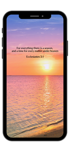 Ecclesiastes 3:1 - Beach - Phone Wallpaper