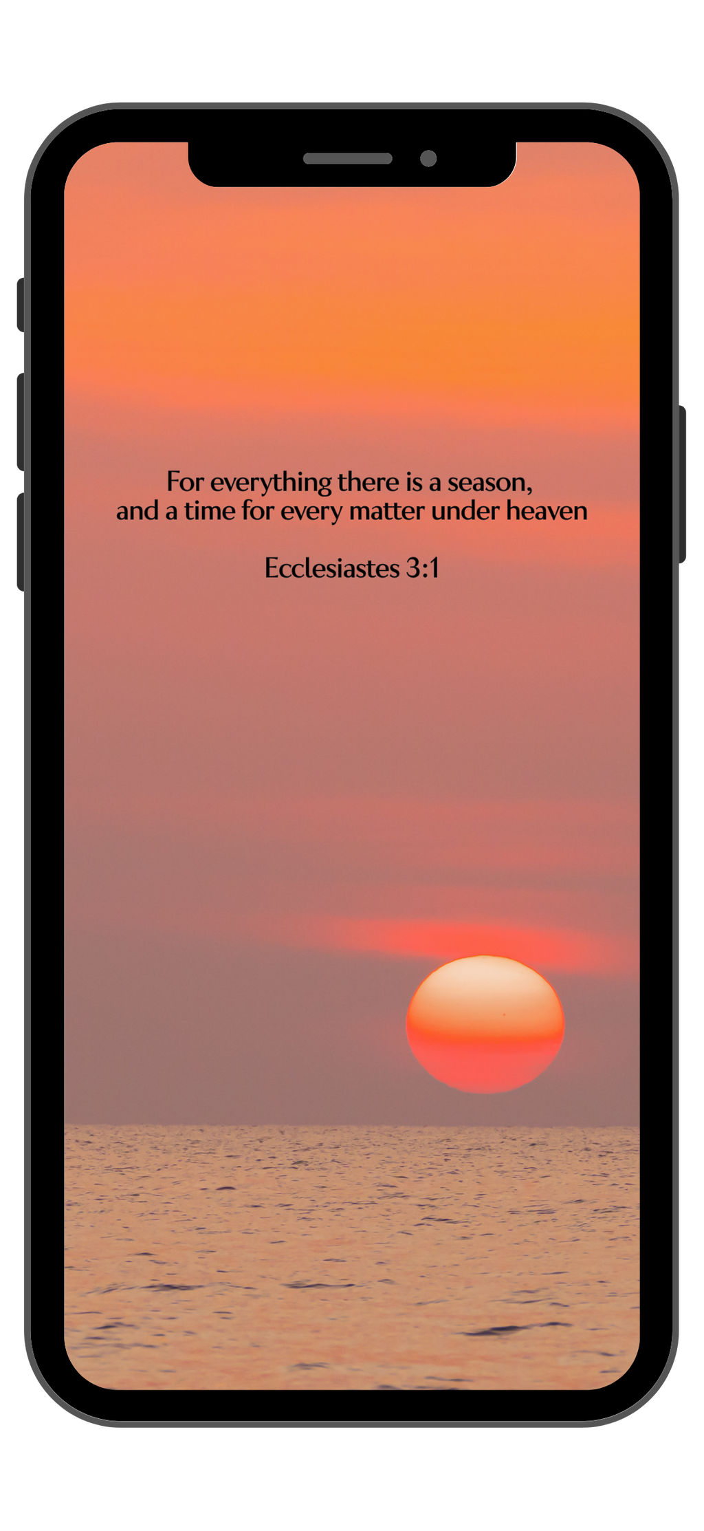Ecclesiastes 3:1 - Sunset - Phone Wallpaper