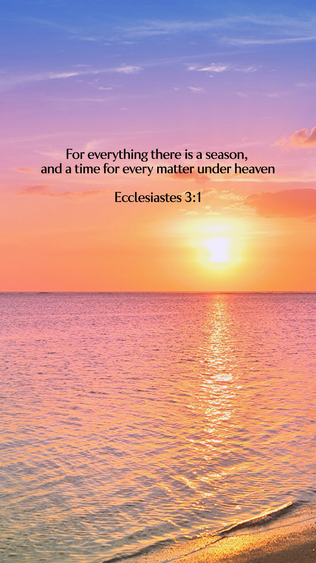 Ecclesiastes 3:1 - Beach - Phone Wallpaper