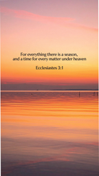 Ecclesiastes 3:1 - Horizon - Phone Wallpaper