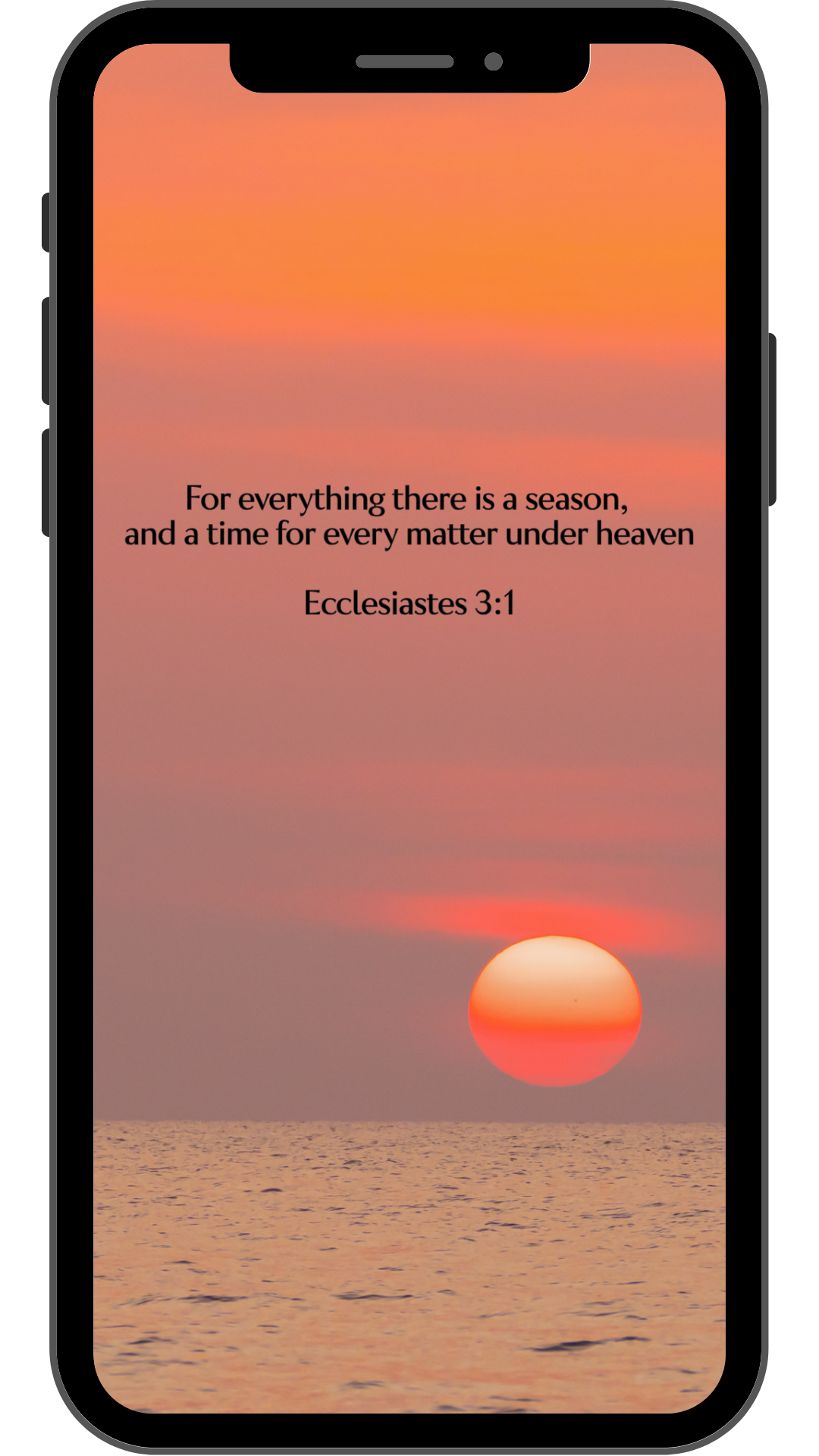 Ecclesiastes 3:1 - Sunset - Phone Wallpaper