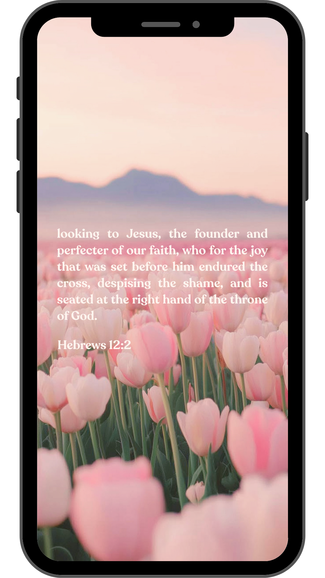 Hebrews 12:2 - Phone Wallpaper