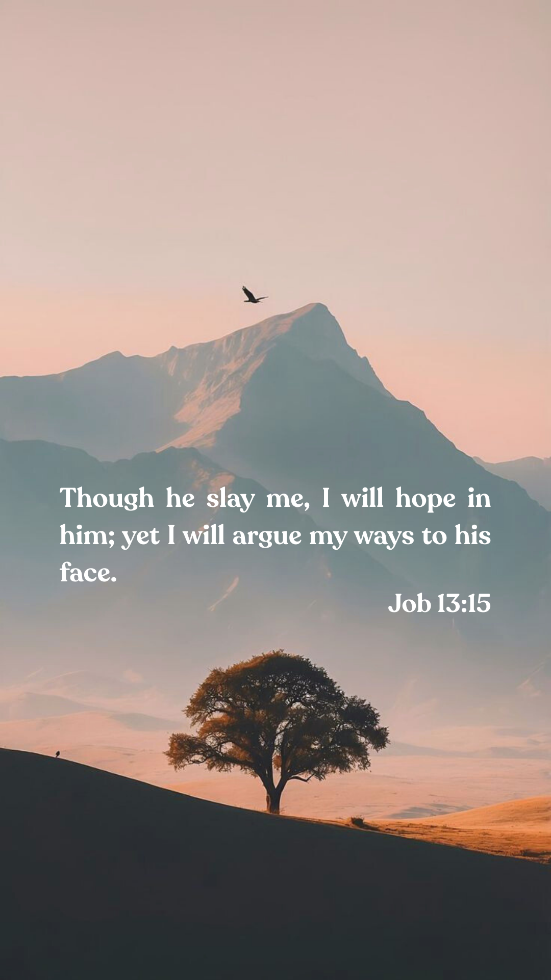 Job 13:15 - Phone Wallpaper