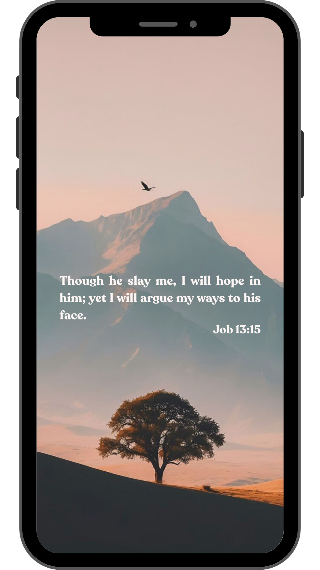 Job 13:15 - Phone Wallpaper