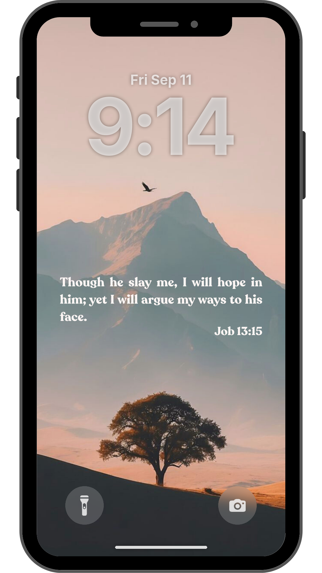 Job 13:15 - Phone Wallpaper