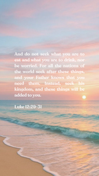 Luke 12:29-31 - Phone Wallpaper