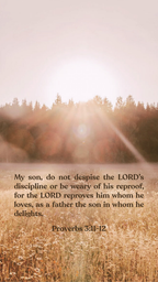 Proverbs 3:11-12 - Phone Wallpaper