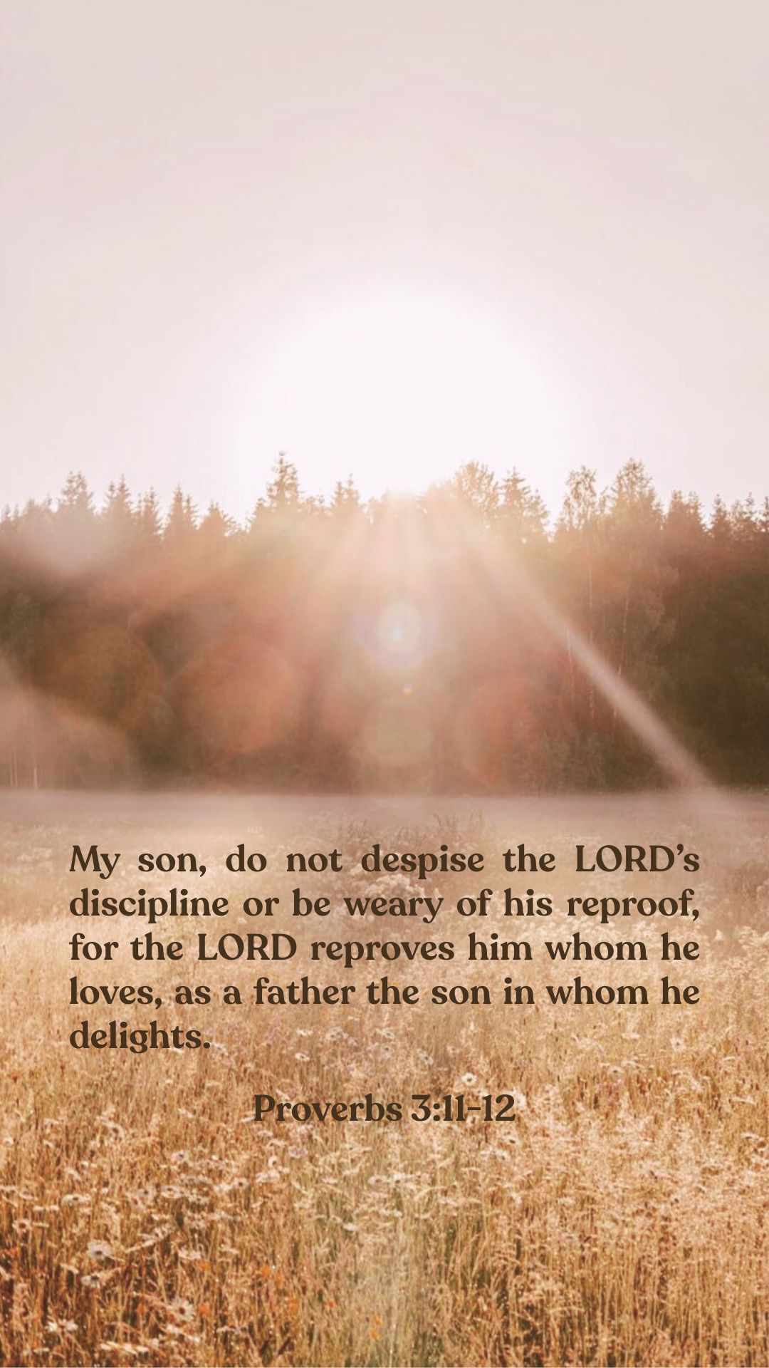 Proverbs 3:11-12 - Phone Wallpaper