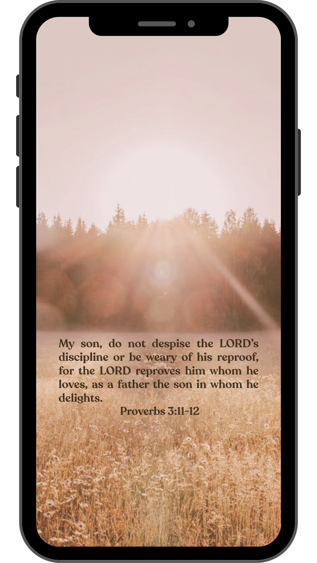 Proverbs 3:11-12 - Phone Wallpaper