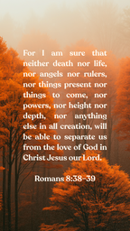 Romans 8:38–39 - Autumn Forest - Phone Wallpaper