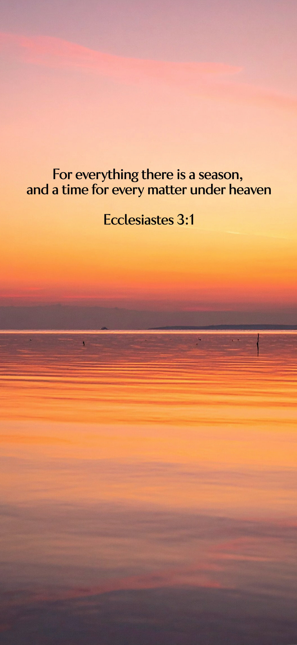 Ecclesiastes 3:1 - Horizon - Phone Wallpaper