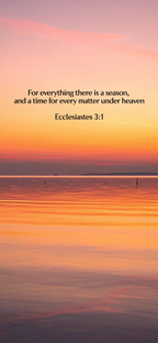 Ecclesiastes 3:1 - Horizon - Phone Wallpaper