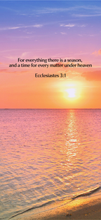 Ecclesiastes 3:1 - Beach - Phone Wallpaper